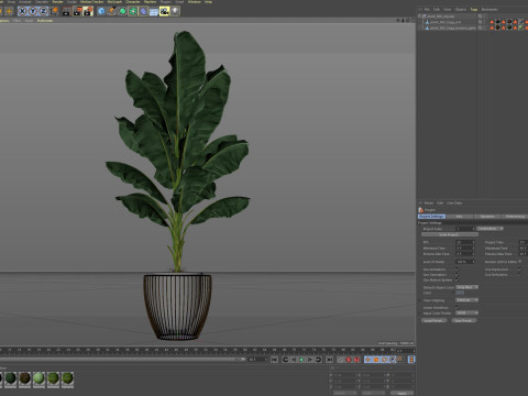 Plants collection 860 Modelo 3D