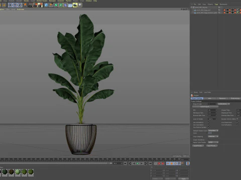 Plants collection 860 3D Model