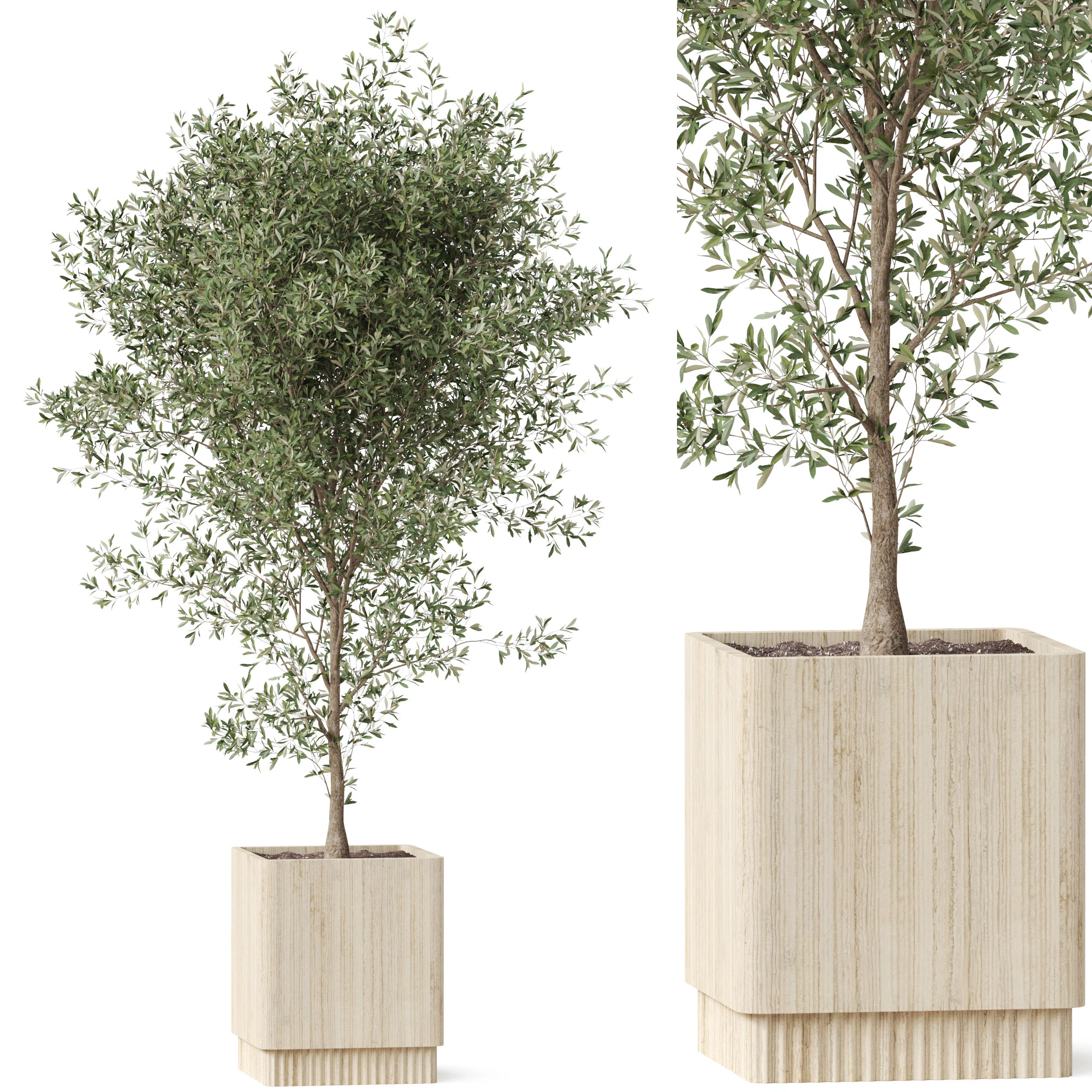 Pflanzensammlung 861 3D Modell .c4d .max .obj .3ds .fbx .stl .blend 