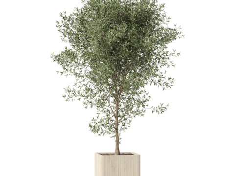 Plants collection 861 3D 模型