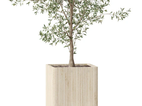 Pflanzensammlung 861 3D Modell