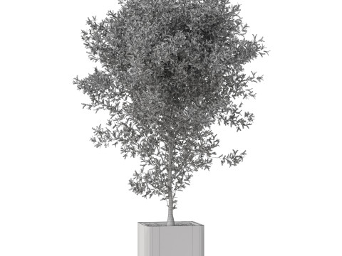 Plants collection 861 3D 模型