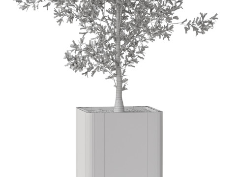 Plants collection 861 3D 模型