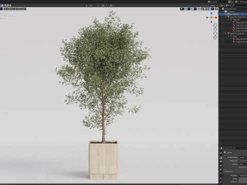 Plants collection 861 3D 模型