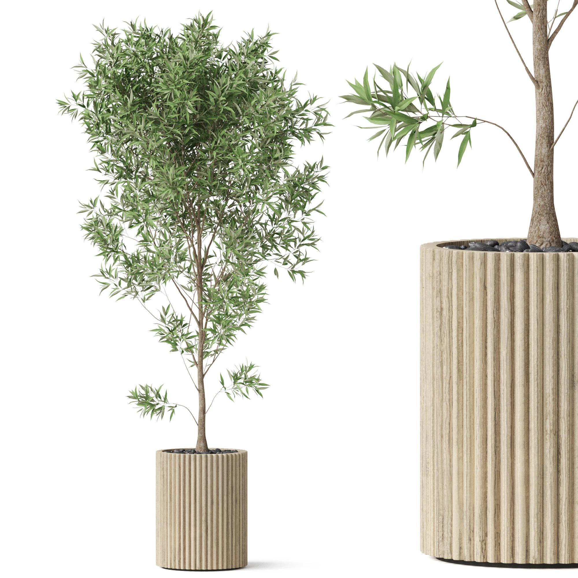 Plants collection 862 3D Model .c4d .max .obj .3ds .fbx .stl .blend