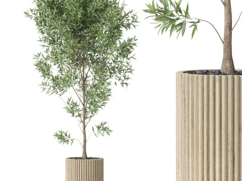 पौधों का संग्रह 862 3D मॉडल