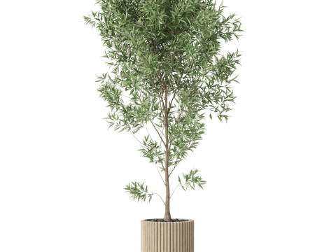 Plants collection 862 3D Model