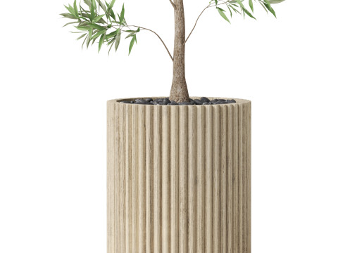 Plants collection 862 3D Model