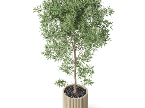 Plants collection 862 3D Model