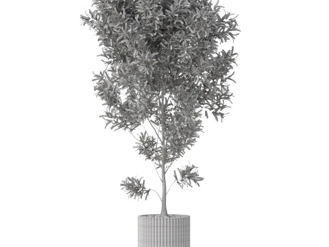 Plants collection 862 3D Model