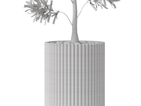 Plants collection 862 3D Model