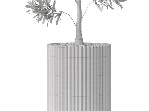 Plants collection 862 3D Model