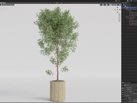 Plants collection 862 3D Model