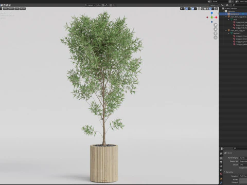 Plants collection 862 3D Model