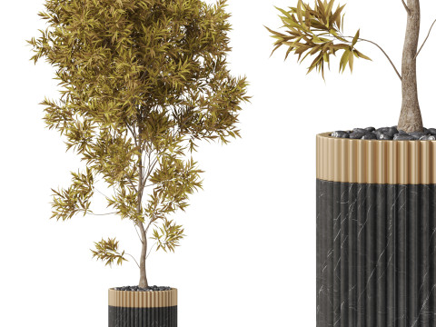 Plants collection 863 Modèle 3D