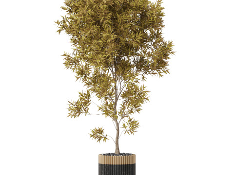 Plants collection 863 3D Model