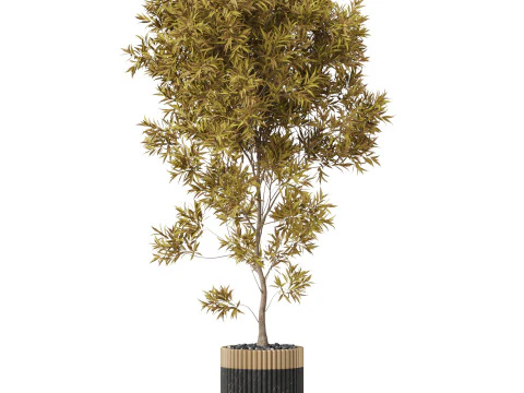 Plants collection 863 3D Model