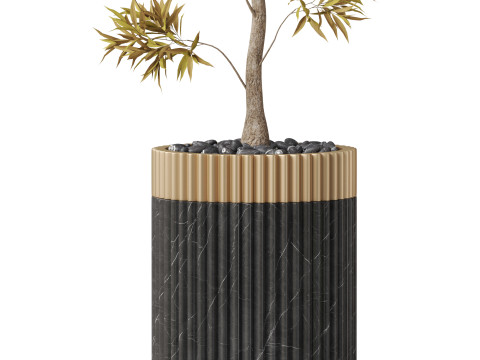 Plants collection 863 3D Model