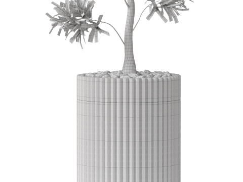 Plants collection 863 3D Model