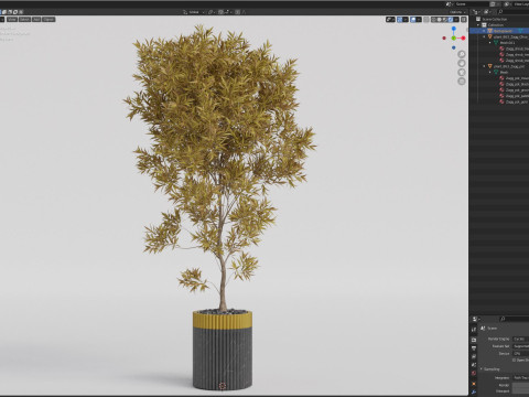 Plants collection 863 3D Model