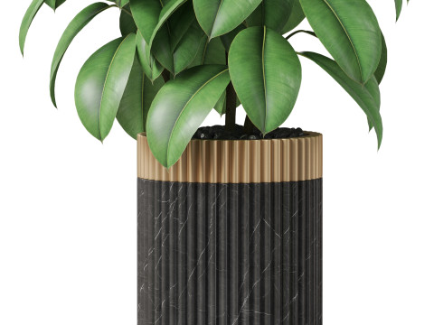 Plants collection 864 Modelo 3D