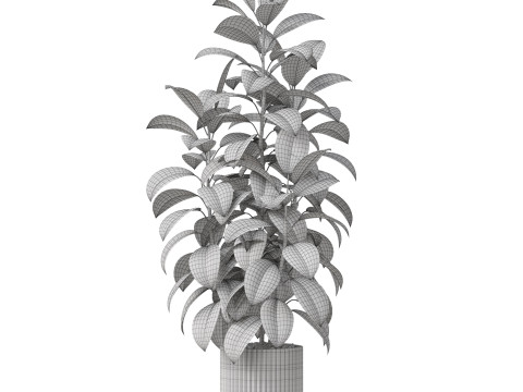 Plants collection 864 Modelo 3D