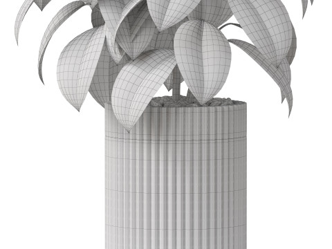 Plants collection 864 Modelo 3D