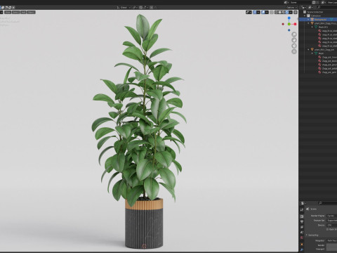 Plants collection 864 Modelo 3D