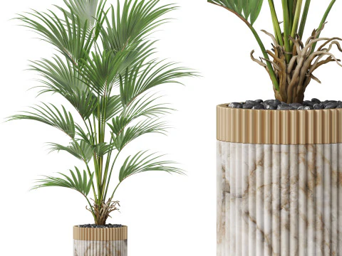 पौधों का संग्रह 865 3D मॉडल