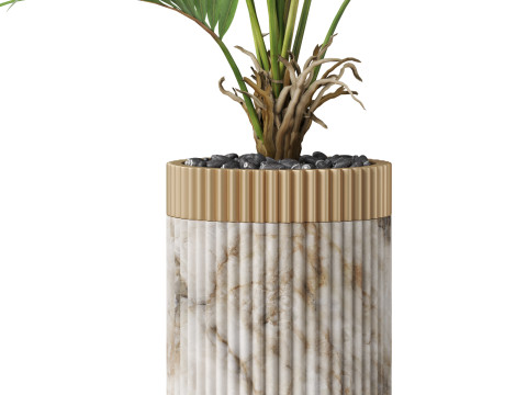 Plants collection 865 3D Model
