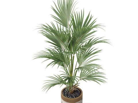 Plants collection 865 3D Model