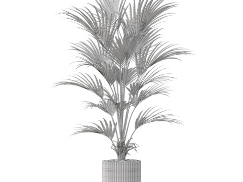 Plants collection 865 3D Model