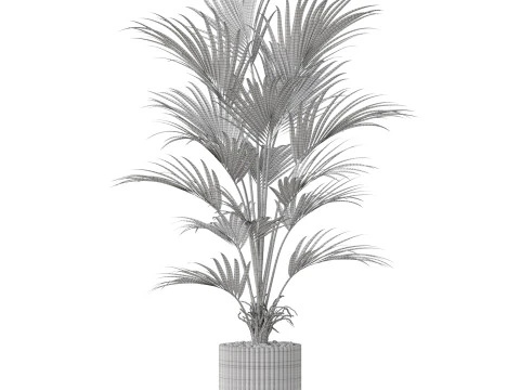 Collezione piante 865 Modello 3D