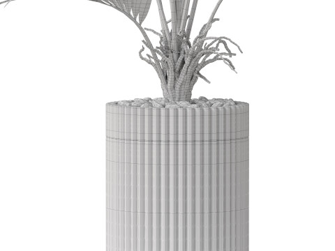 Plants collection 865 3D Model