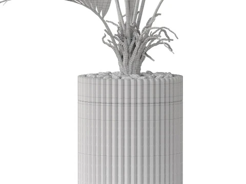 Collezione piante 865 Modello 3D