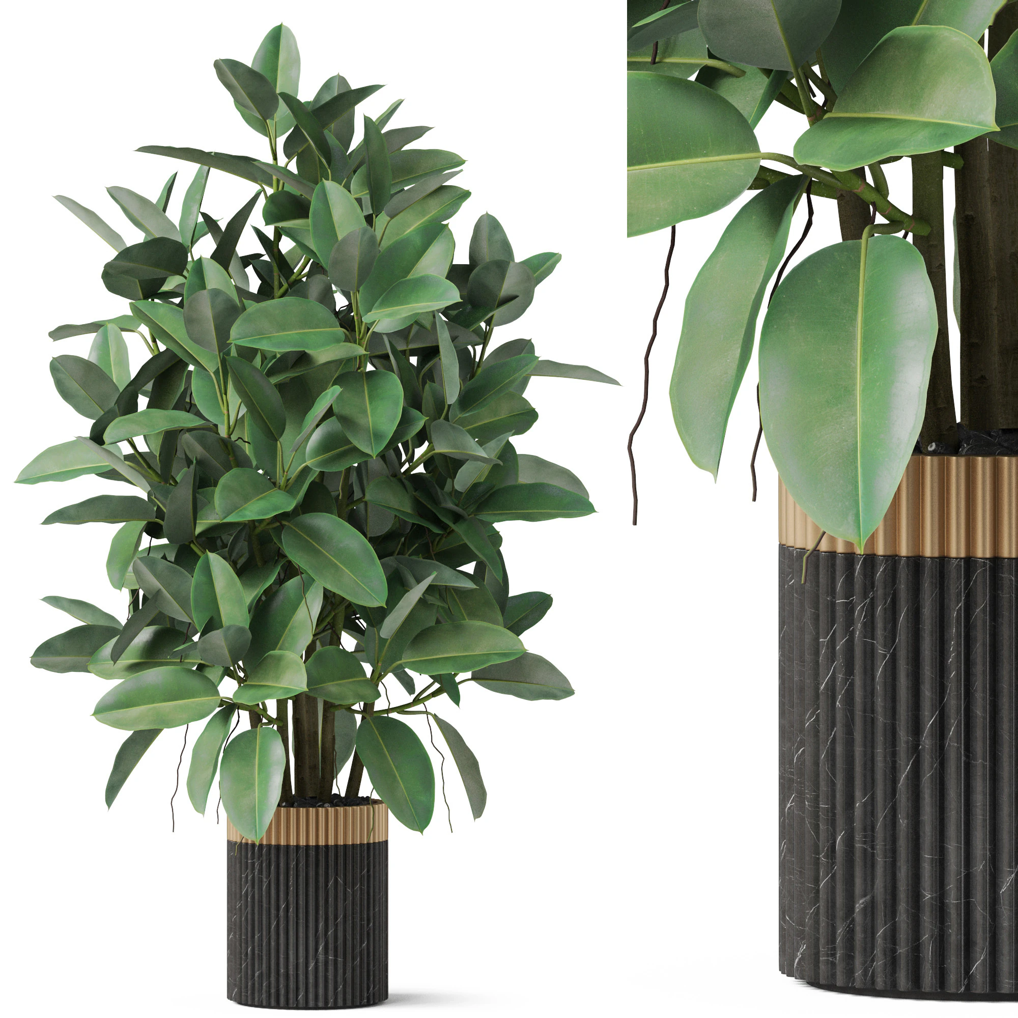Plants collection 866 3D Model .c4d .max .obj .3ds .fbx .stl .blend 
