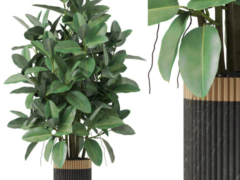 पौधों का संग्रह 866 3D मॉडल