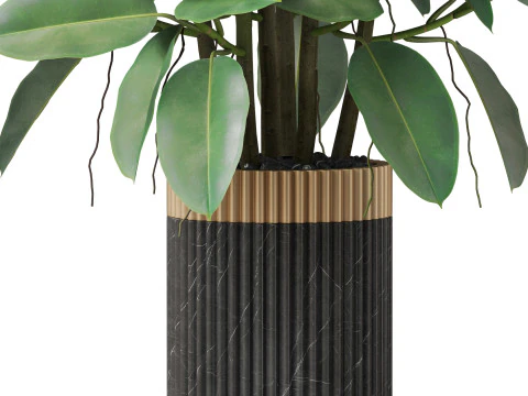 Plants collection 866 3D Model