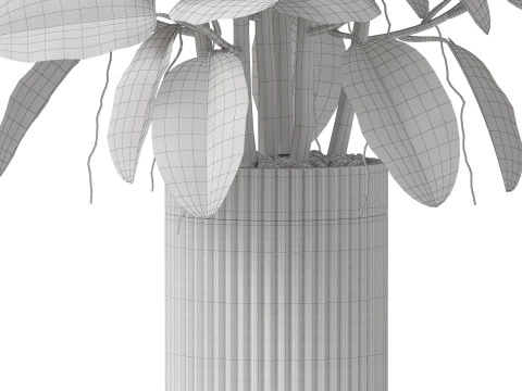 Plants collection 866 3D Model