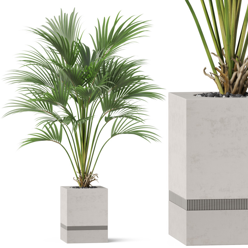 Plants collection 867 3D मॉडल .c4d .max .obj .3ds .fbx .stl .blend