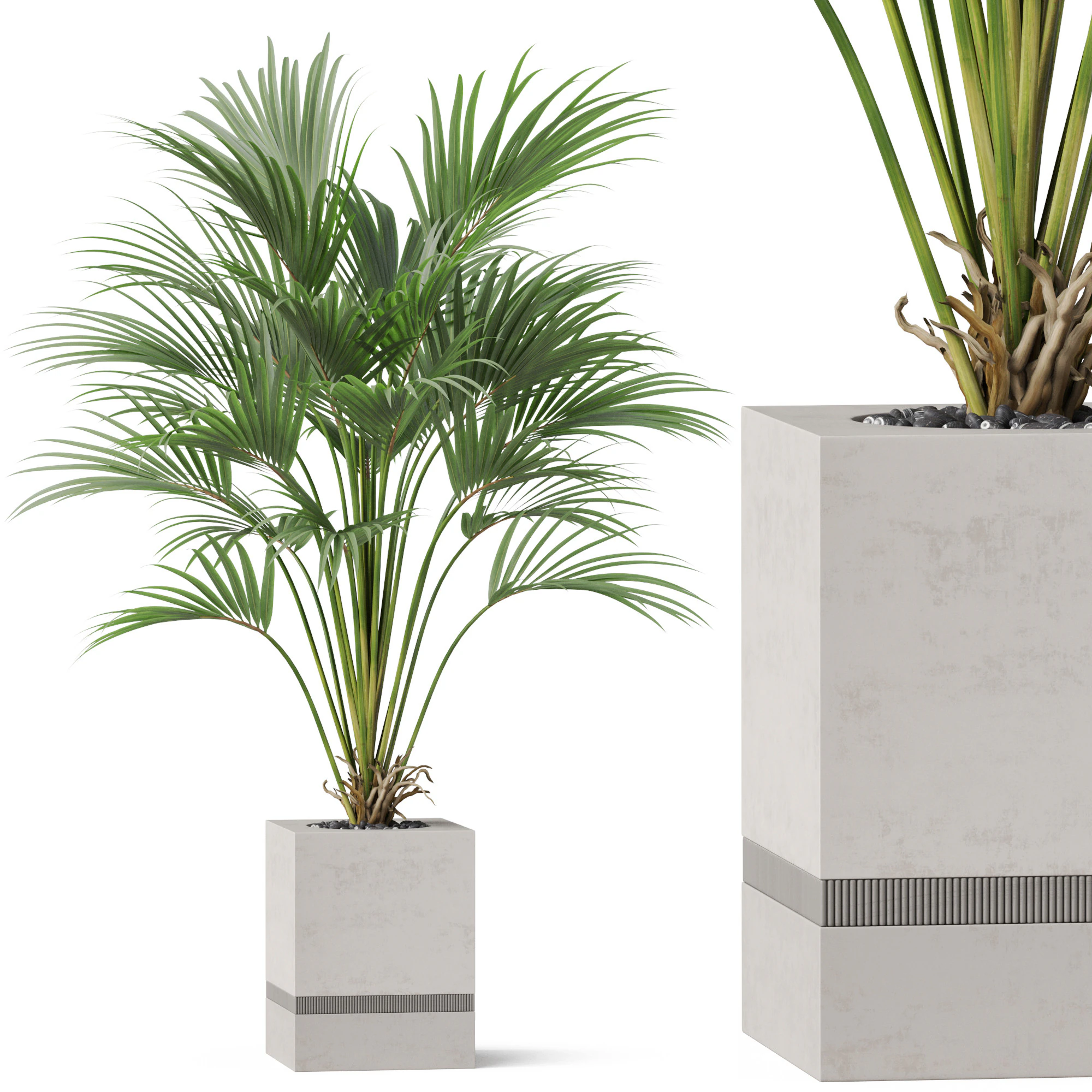 Plants collection 867 3D Model .c4d .max .obj .3ds .fbx .stl .blend