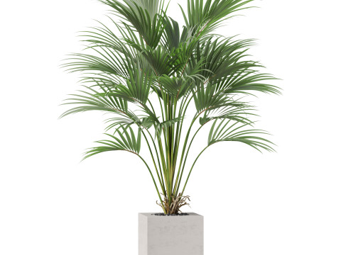 Plants collection 867 3D मॉडल