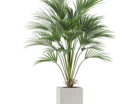 Plants collection 867 3D Model