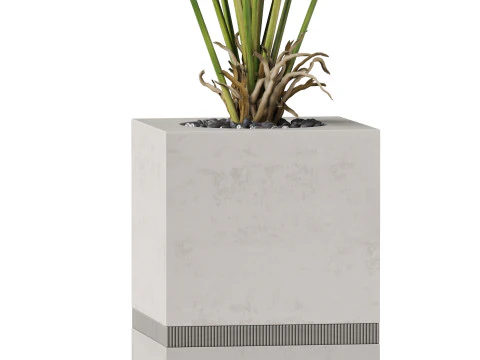 Plants collection 867 3D Model