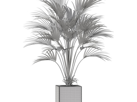 Plants collection 867 3D मॉडल