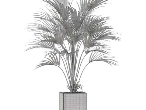 Plants collection 867 3D Model