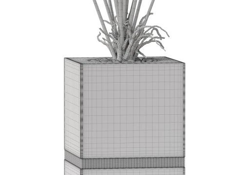 Plants collection 867 3D Model