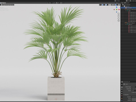 Plants collection 867 3D मॉडल