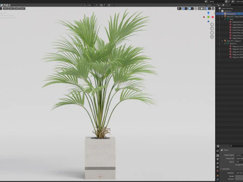 Plants collection 867 3D Model