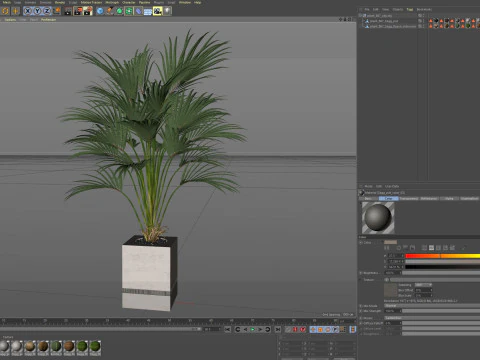 Plants collection 867 3D Model